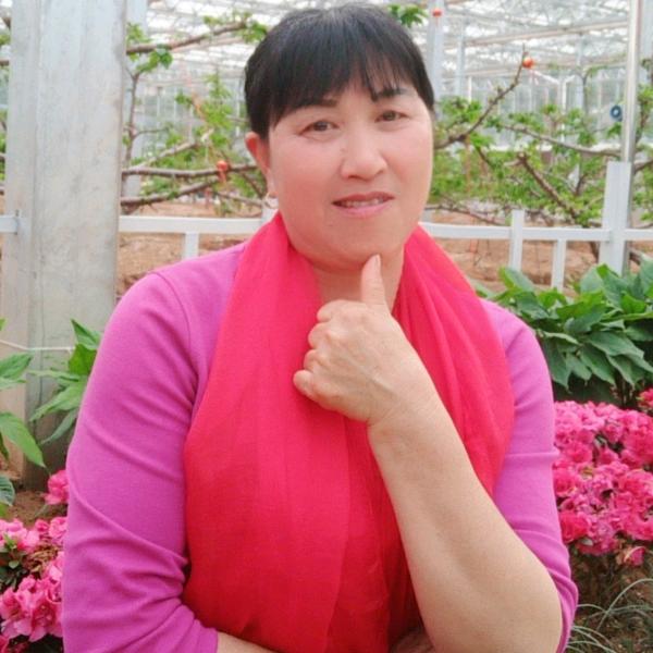 老女