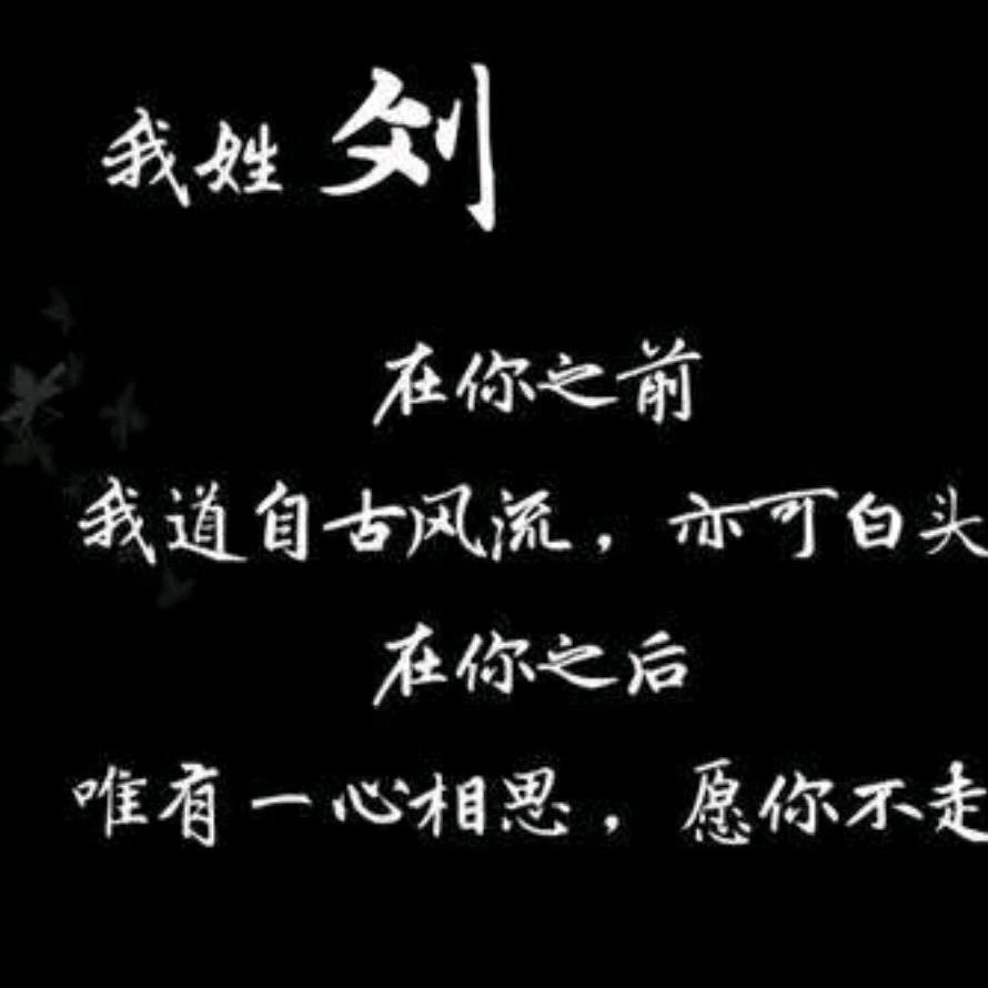 v星光v不问赶路人