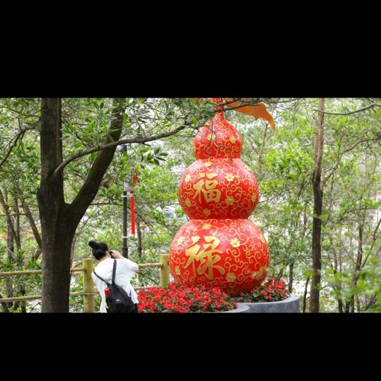 时光在撒谎