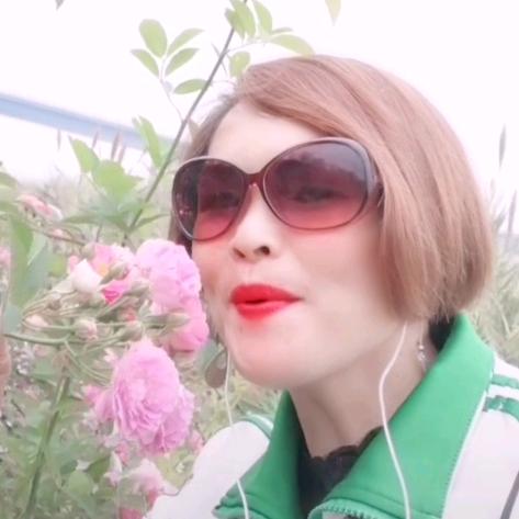 分姐、记录生活