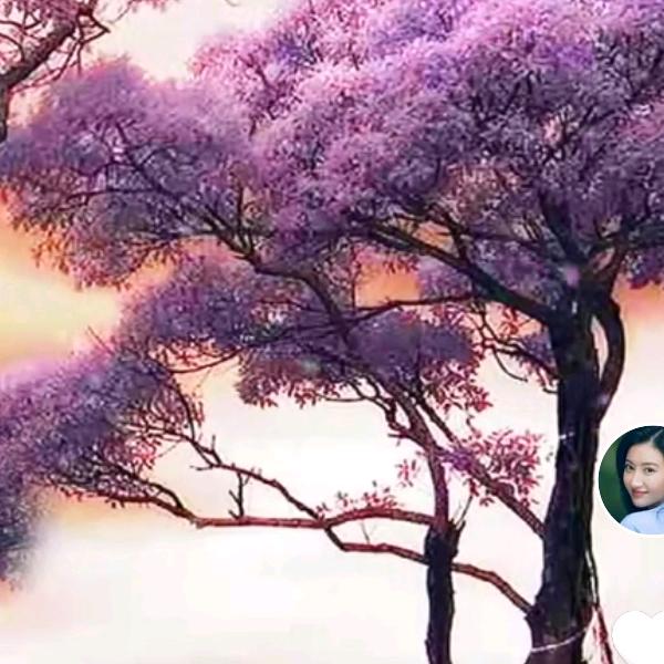 小鱼儿🌸