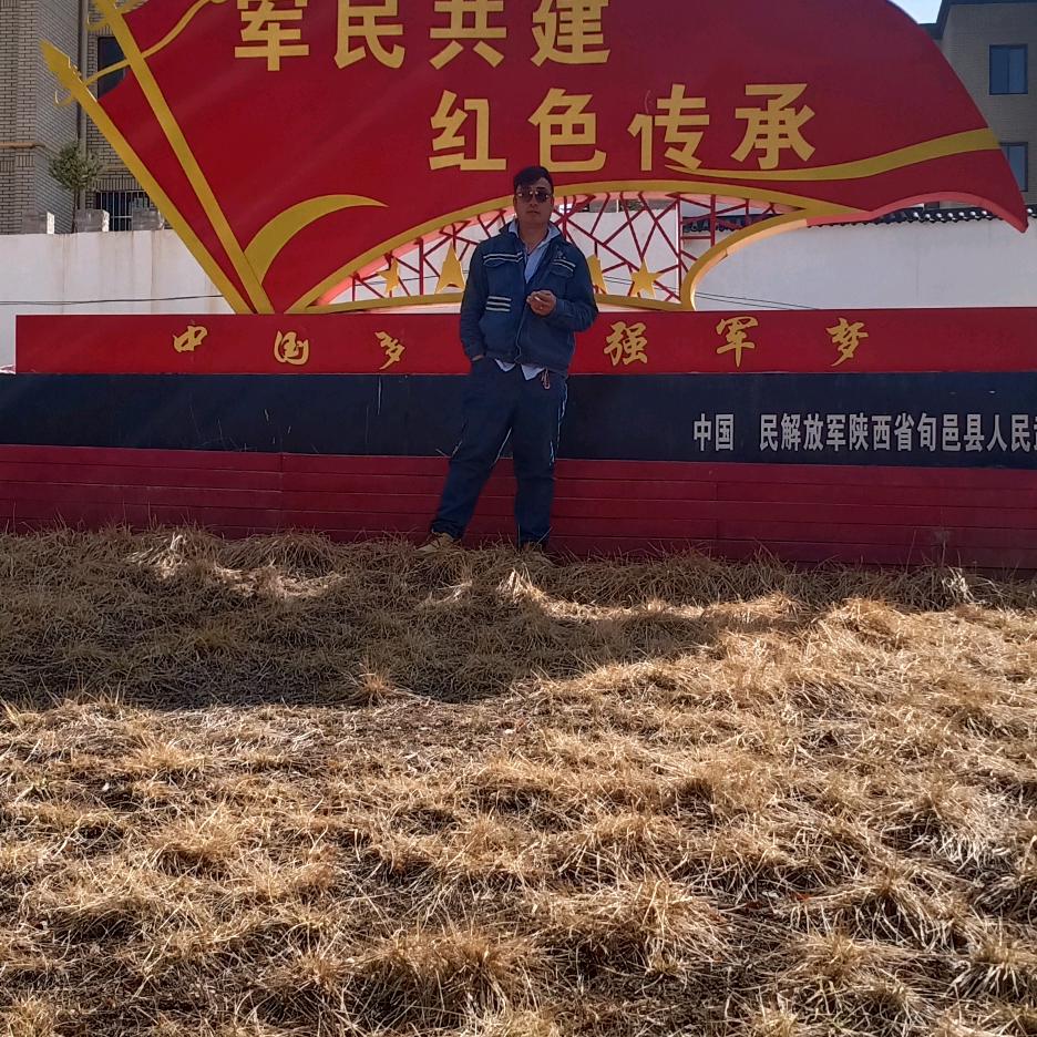 天蓬元帅。猪哥