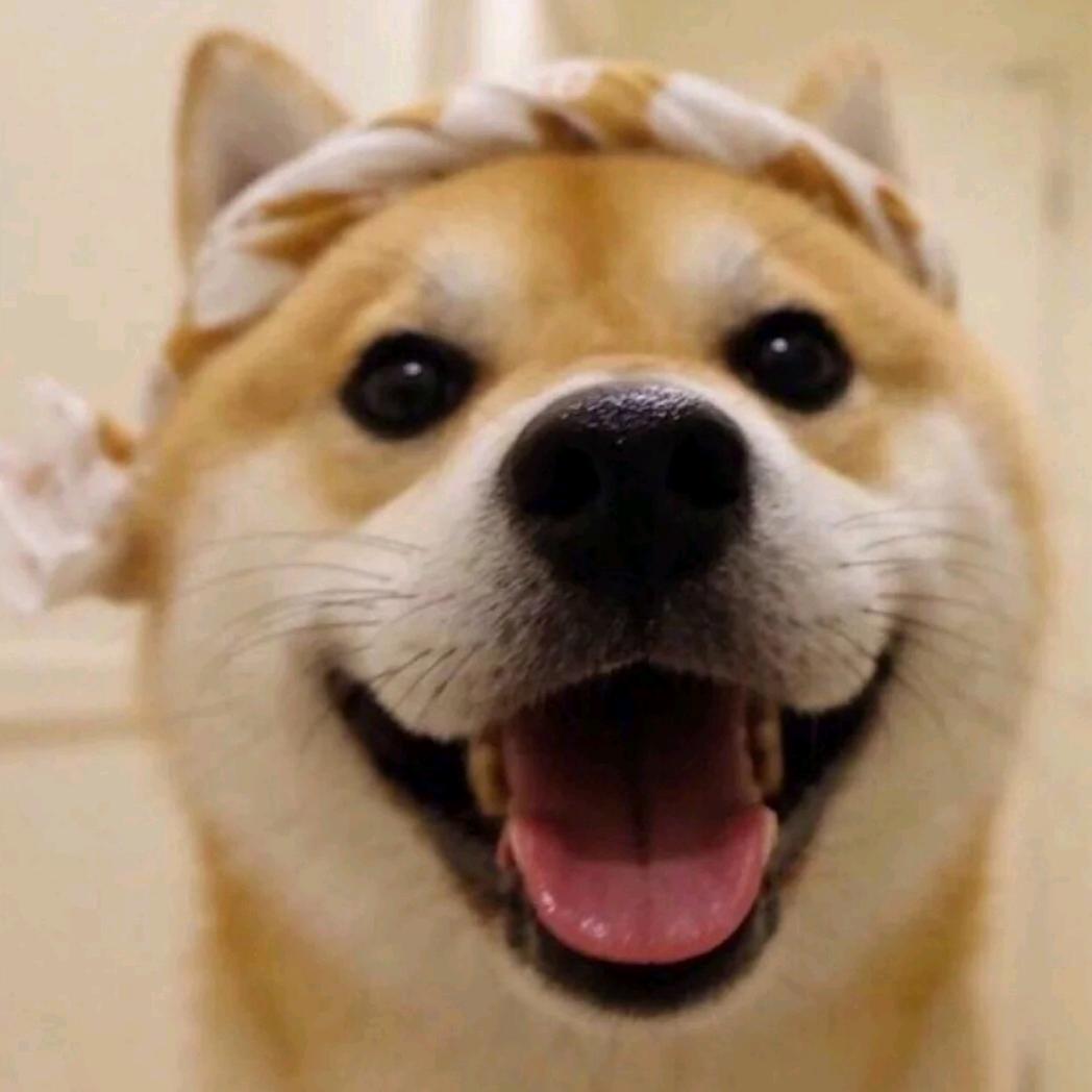 花落