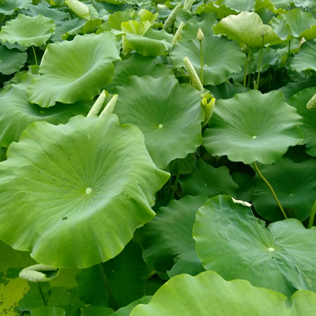 來財來財