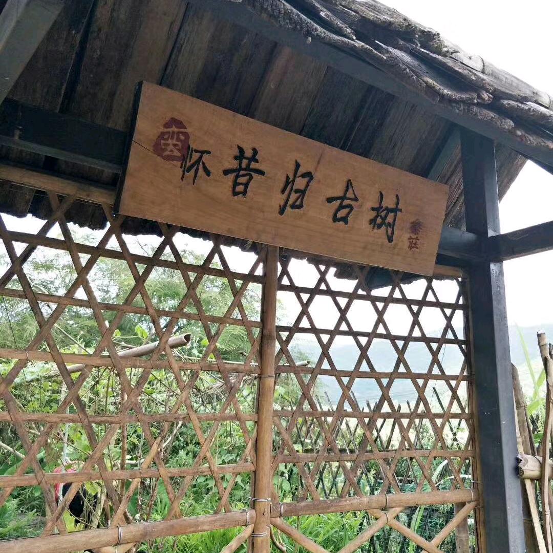 熙夏