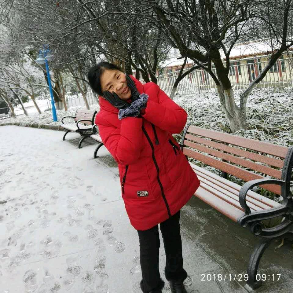 玉兰