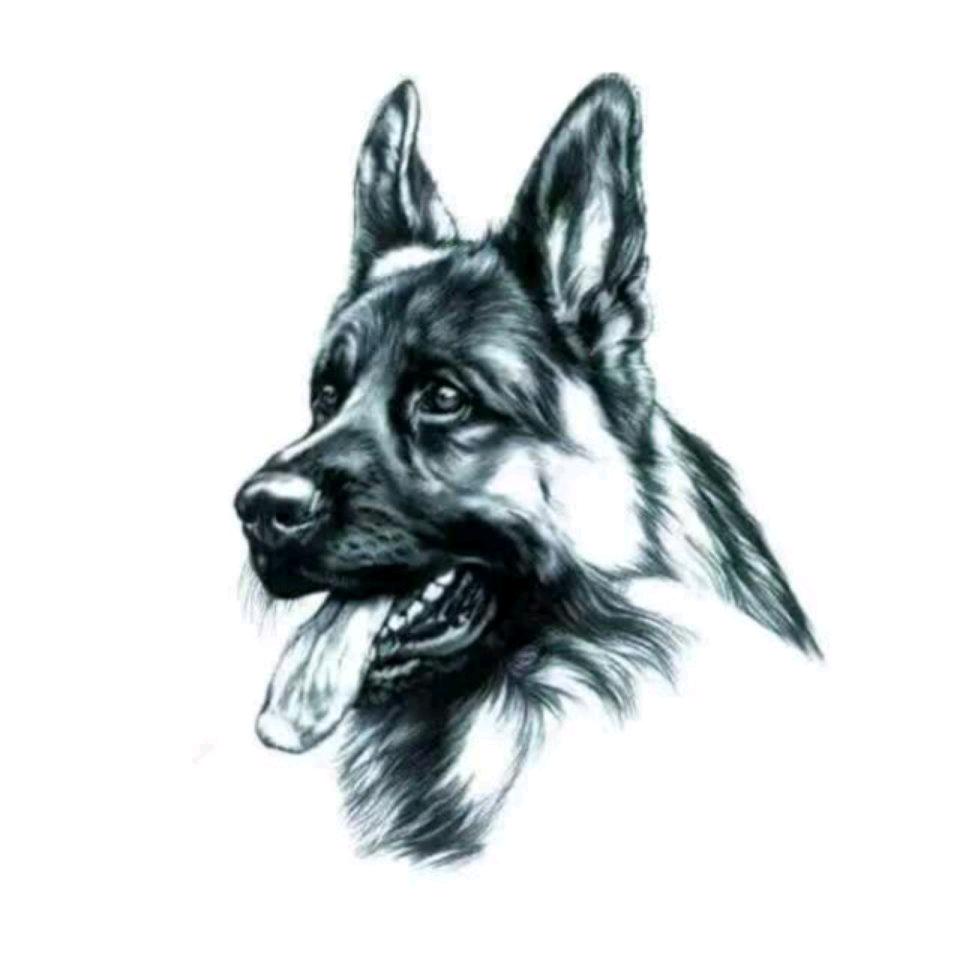 狼犬传奇