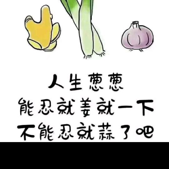 月光下的温柔