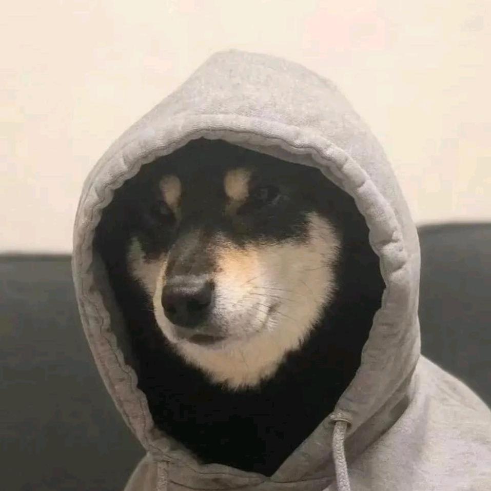 年少有Wei