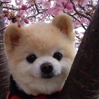 陌然伊妍头像