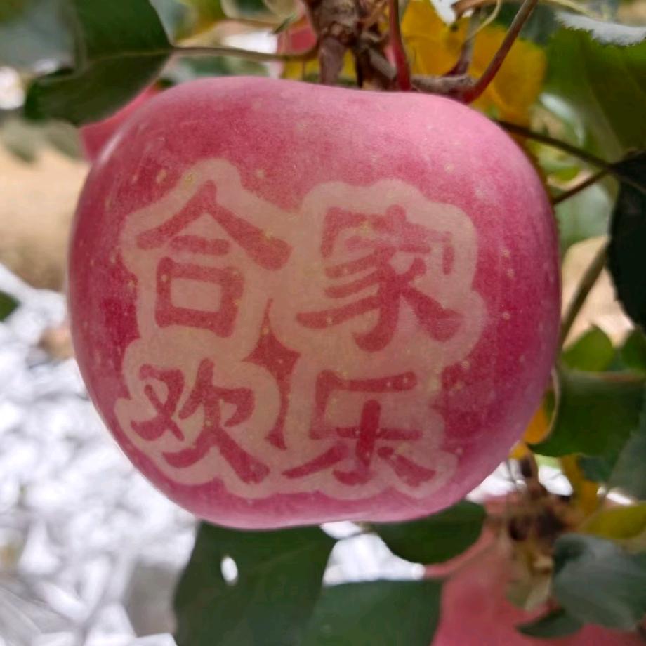 知足常乐