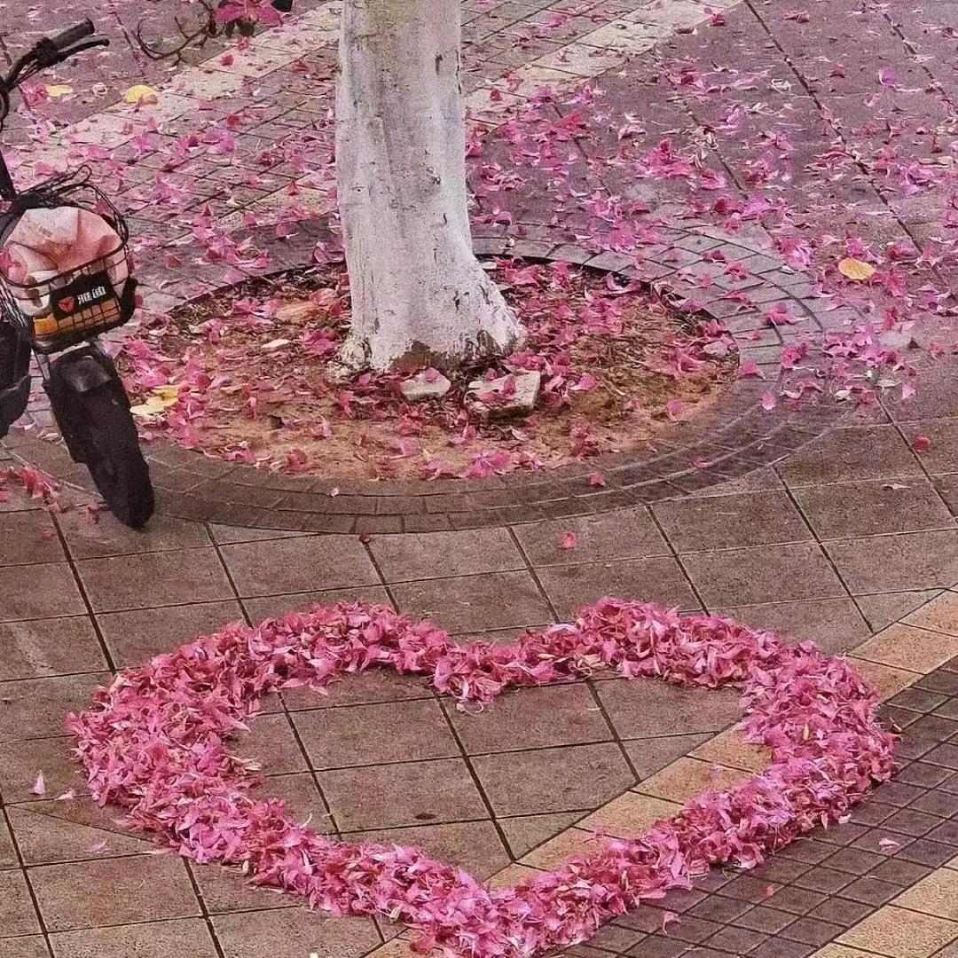 新手宝妈