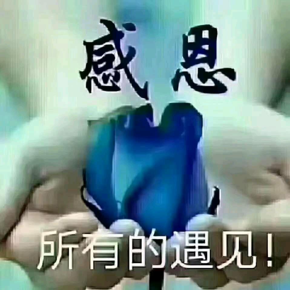 大唐贴砖总指挥