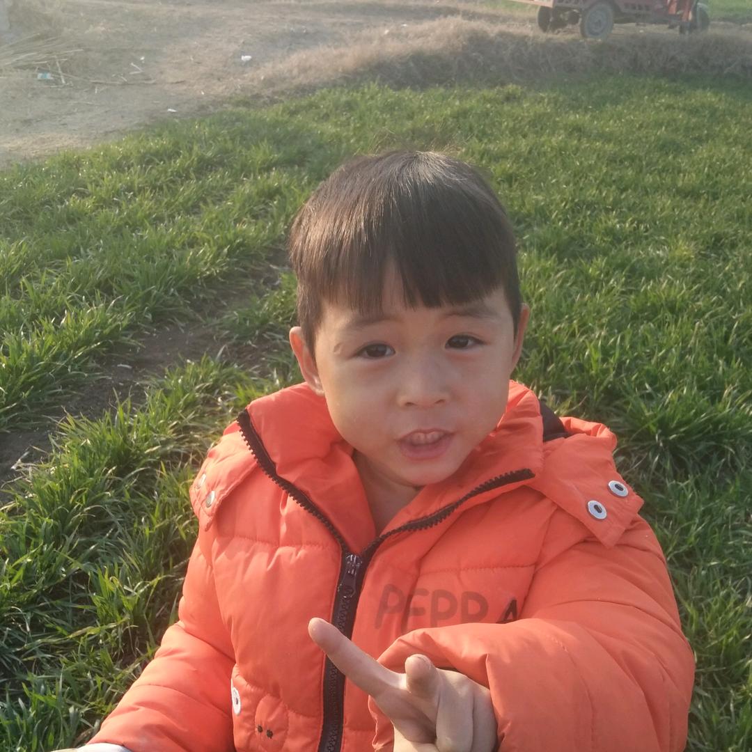 ᝰ张鱼小丸子