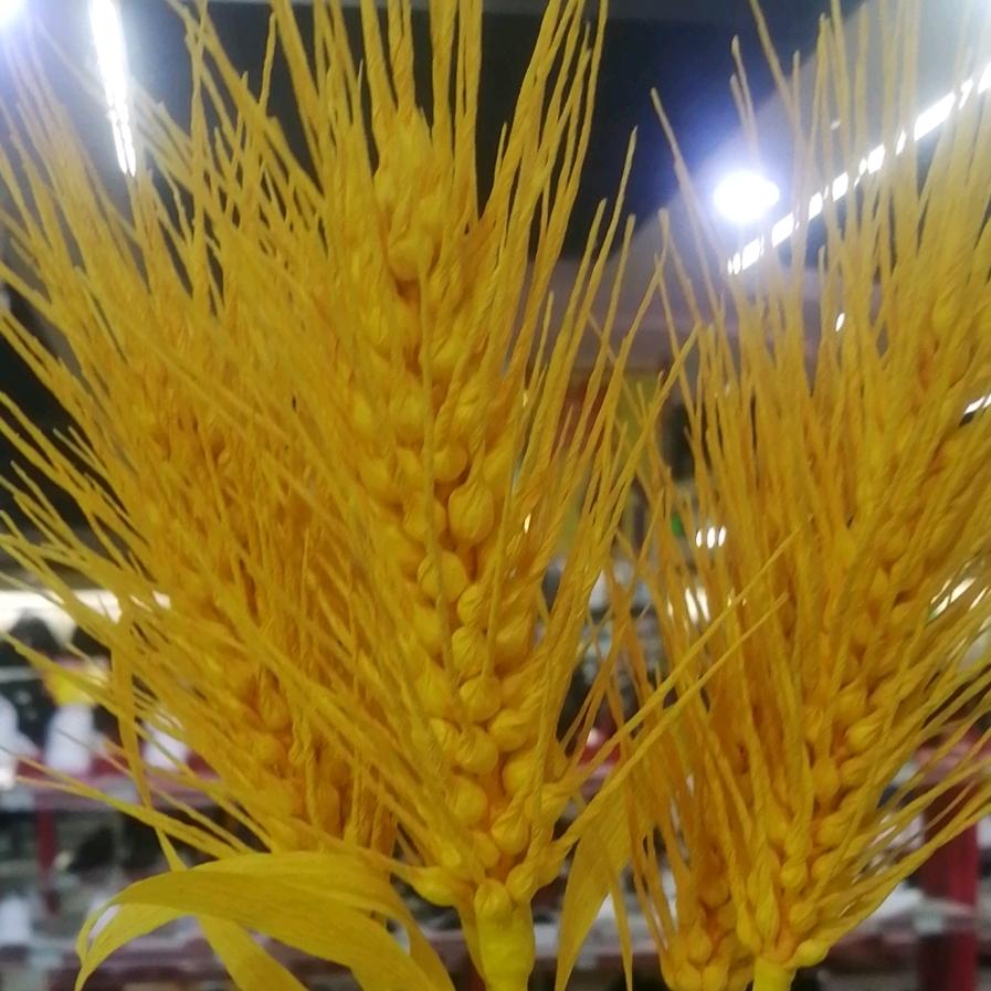 奥芬
