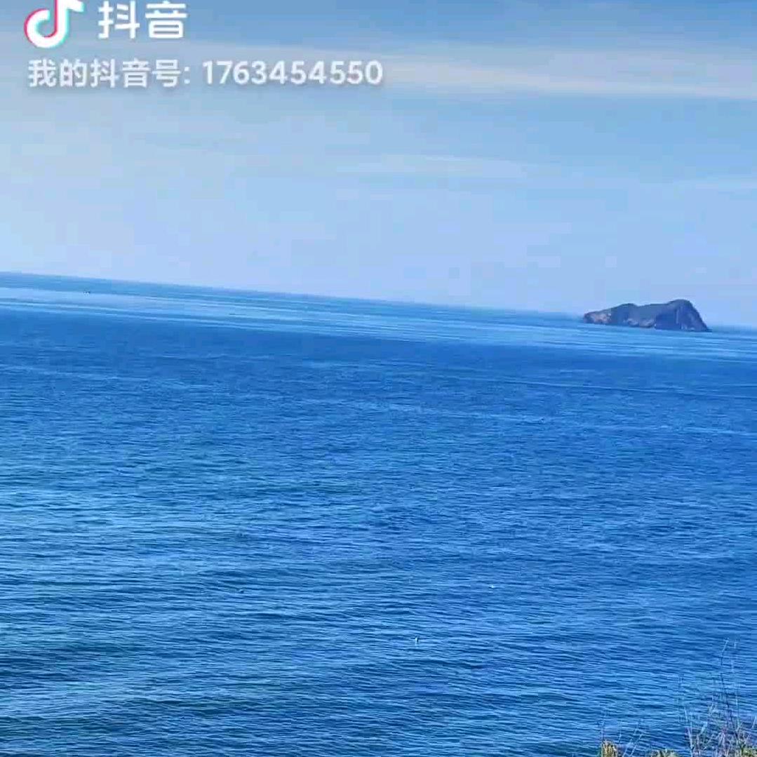 陆哥