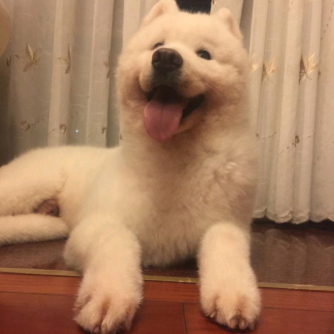 老阿婆
