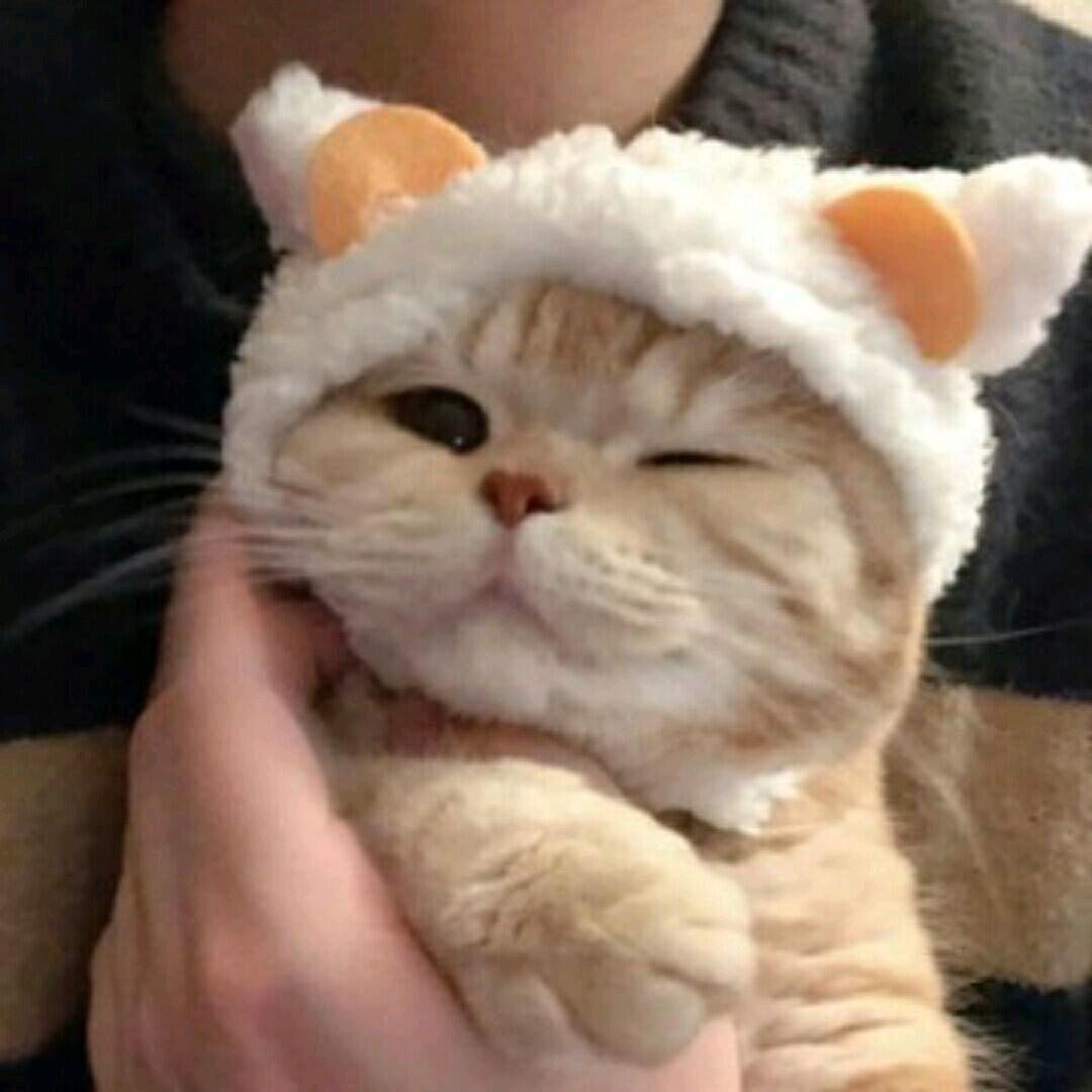 大黄鸭蹦嘎嘎