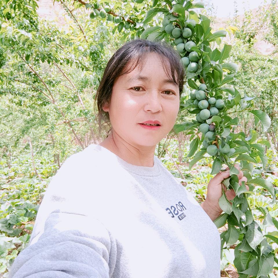 冬天的白云
