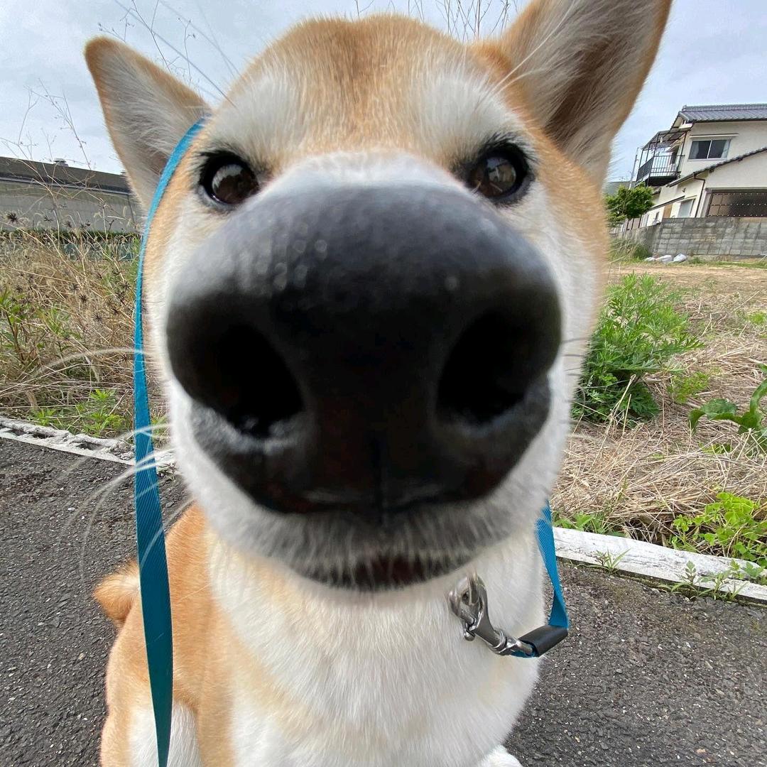 🌈连贯性