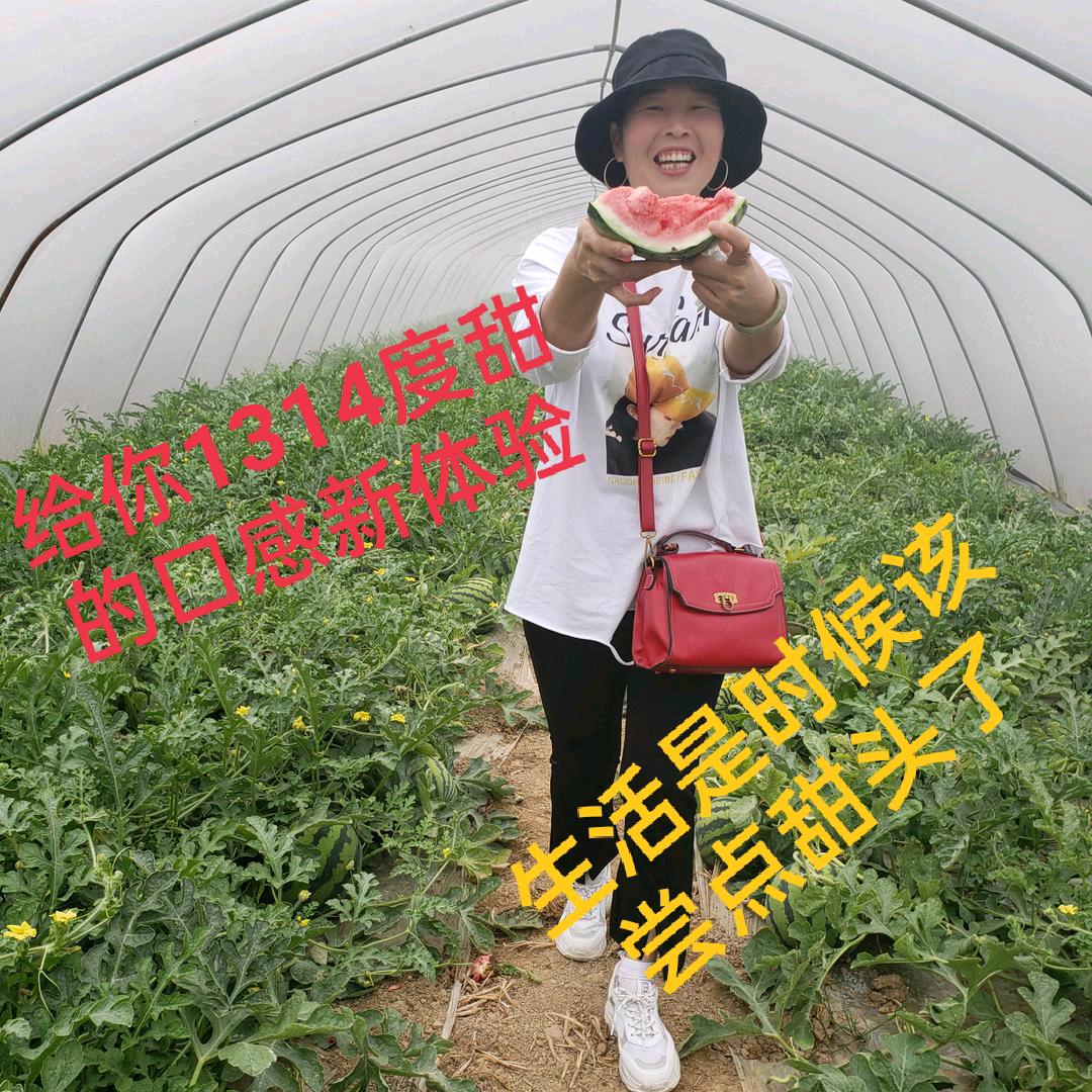 沙漠里玫瑰