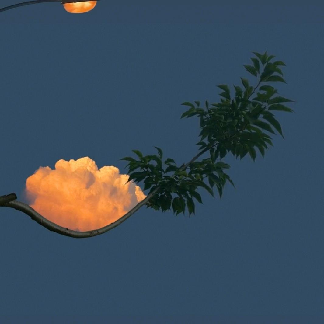浪