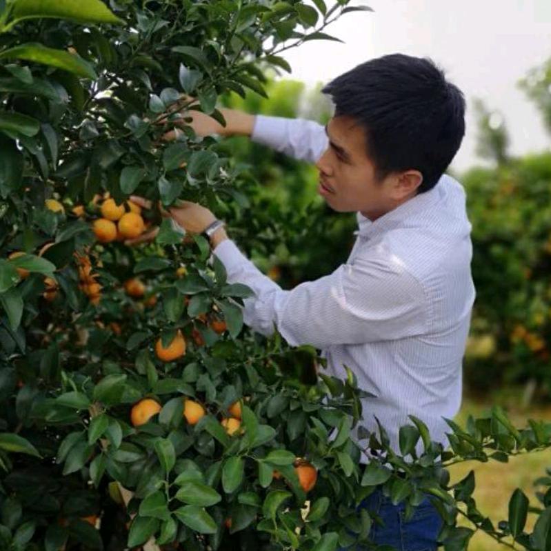 阿贵