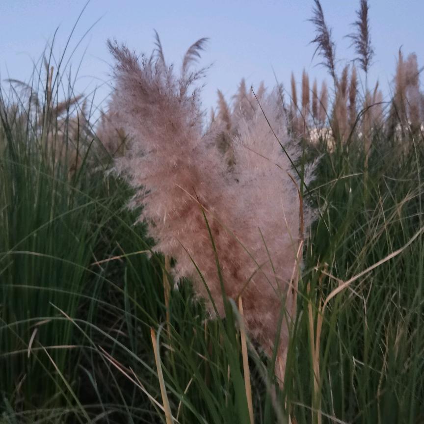 嘉👩‍❤️‍💋‍👩忻