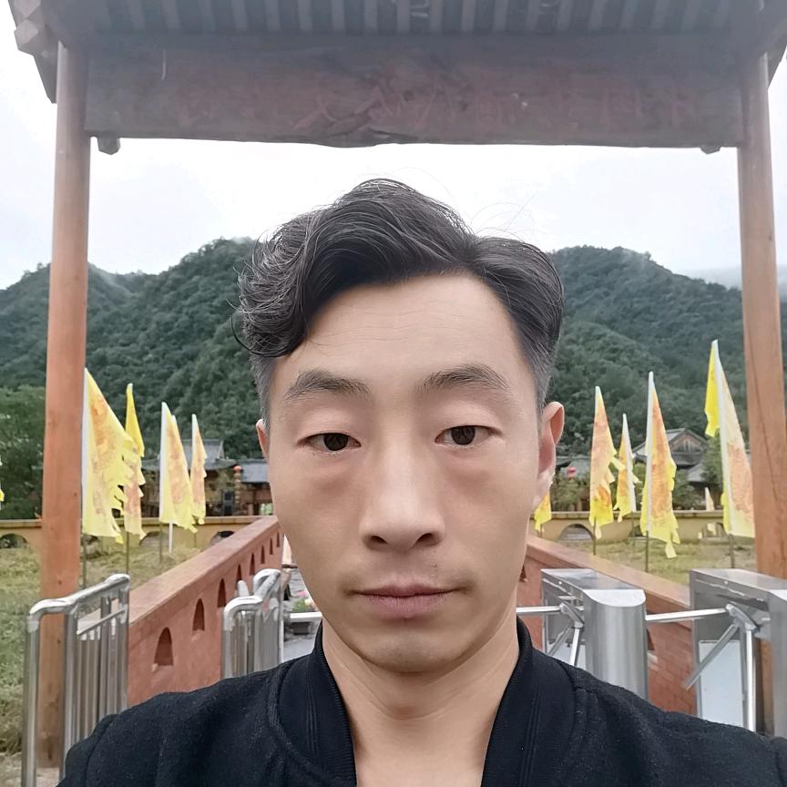 宝狮2手车