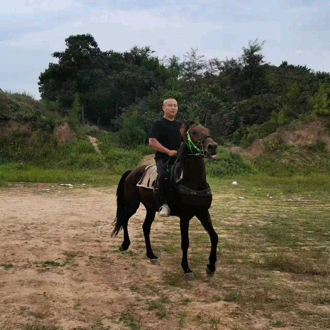 陕西中原弘达建筑工程有限公司