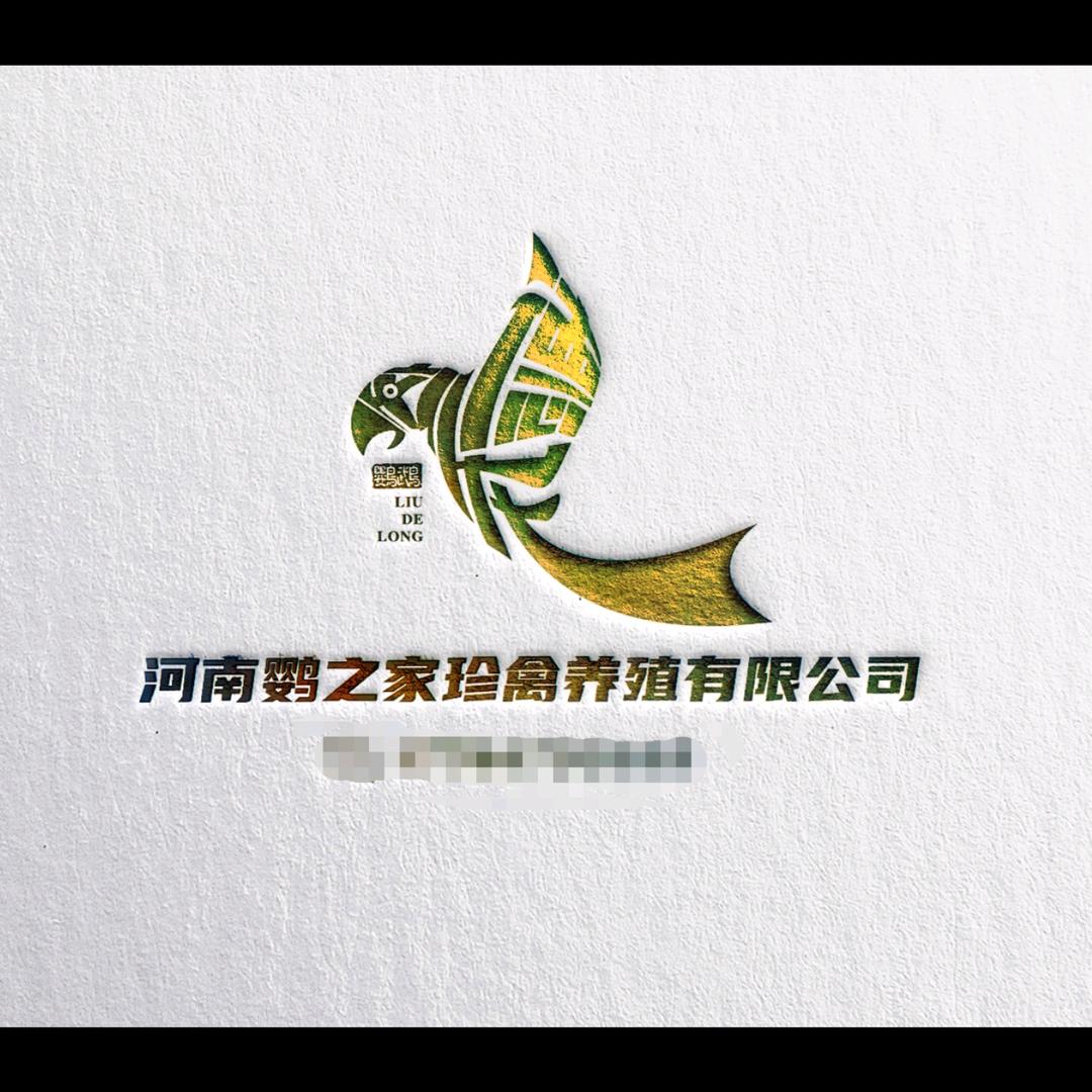 河南鹦之家鹦鹉