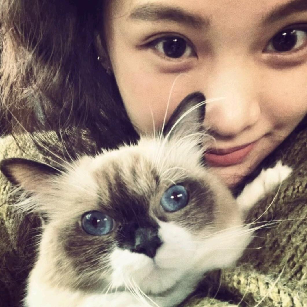 一口蛋黄酥.🍧