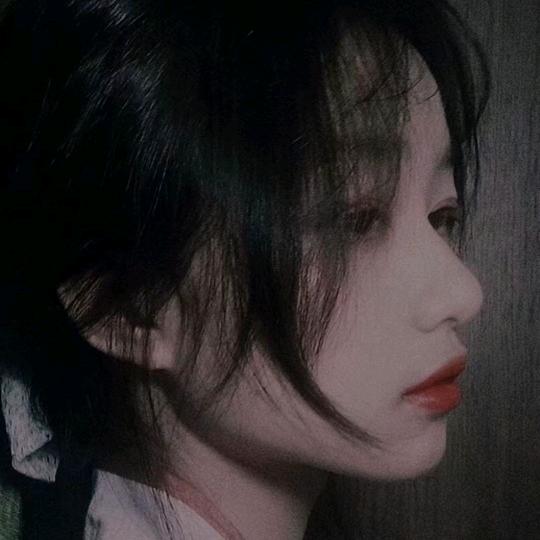 柒哥的毛毛