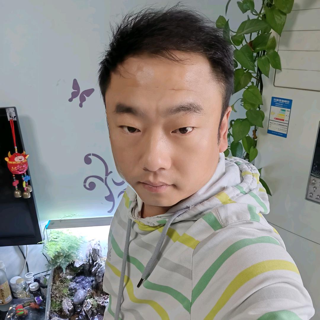 小黑马
