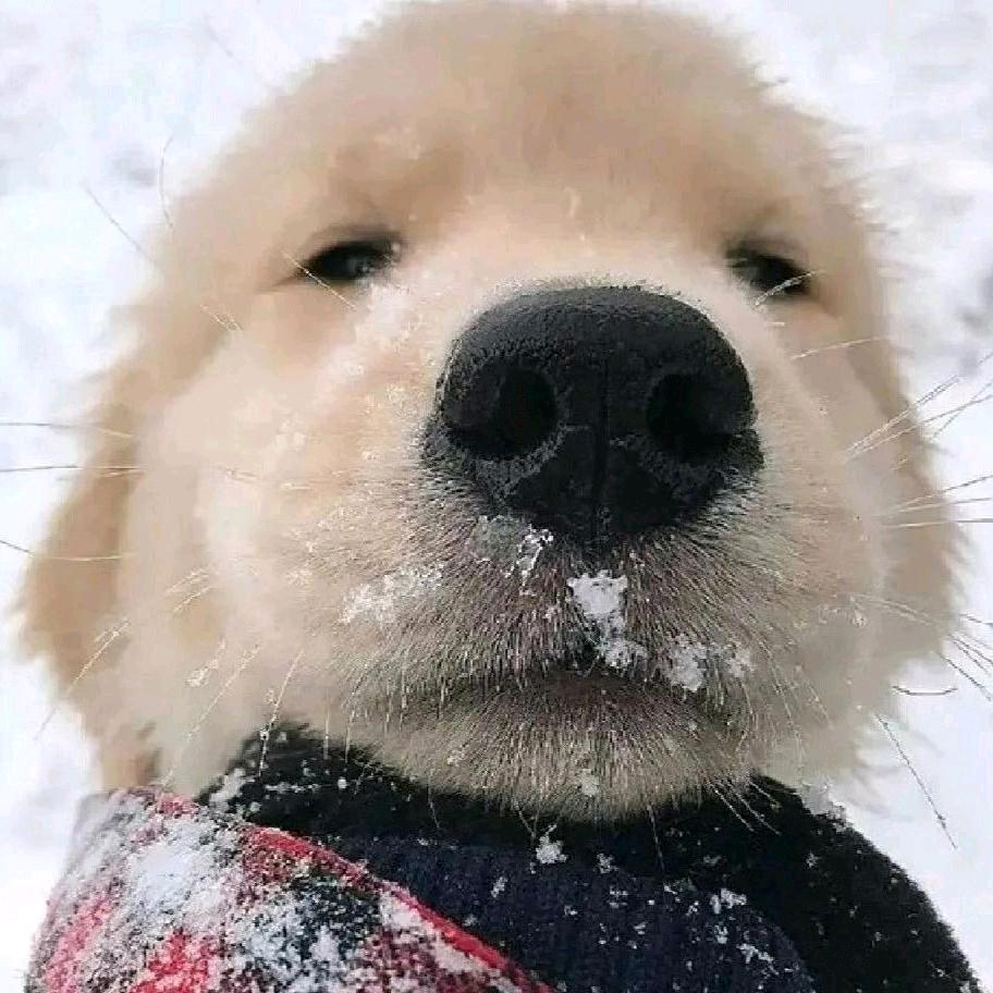 五十万人点赞了您的作品