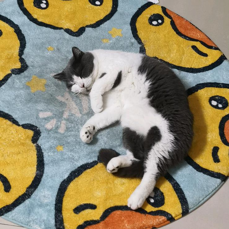 好的过去哟🥕🐱🐱🐱