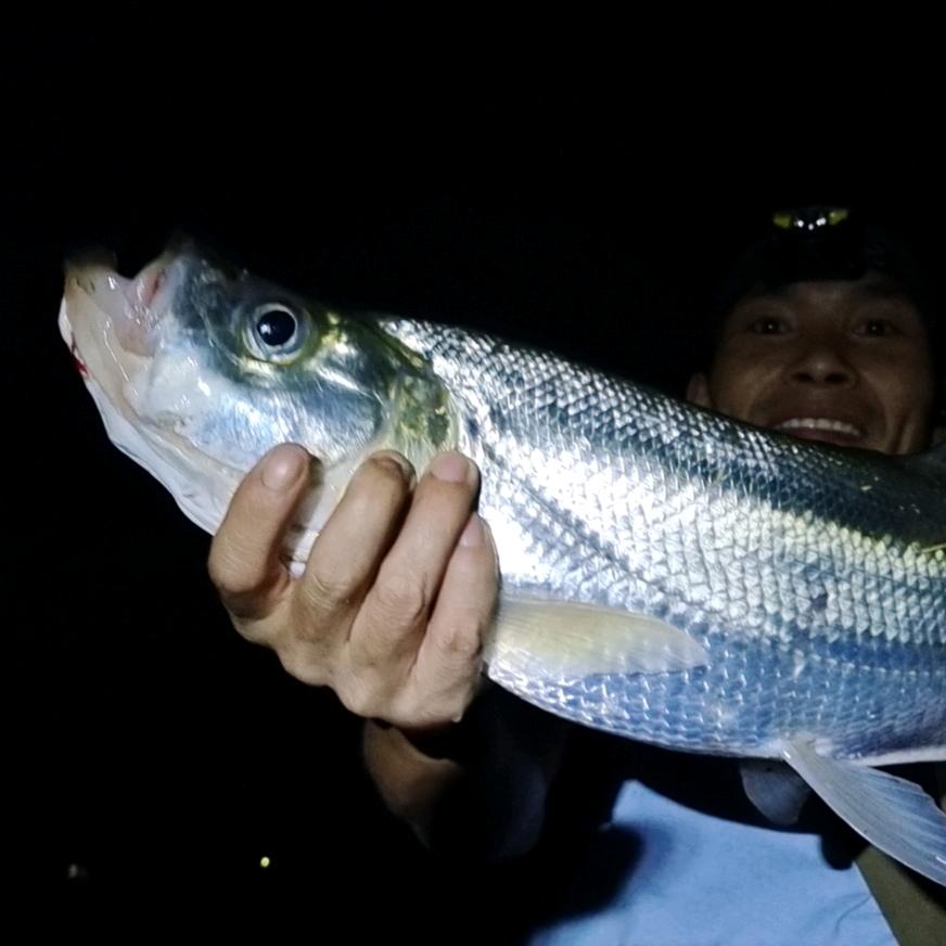 俗人🏌️🏻‍♂️