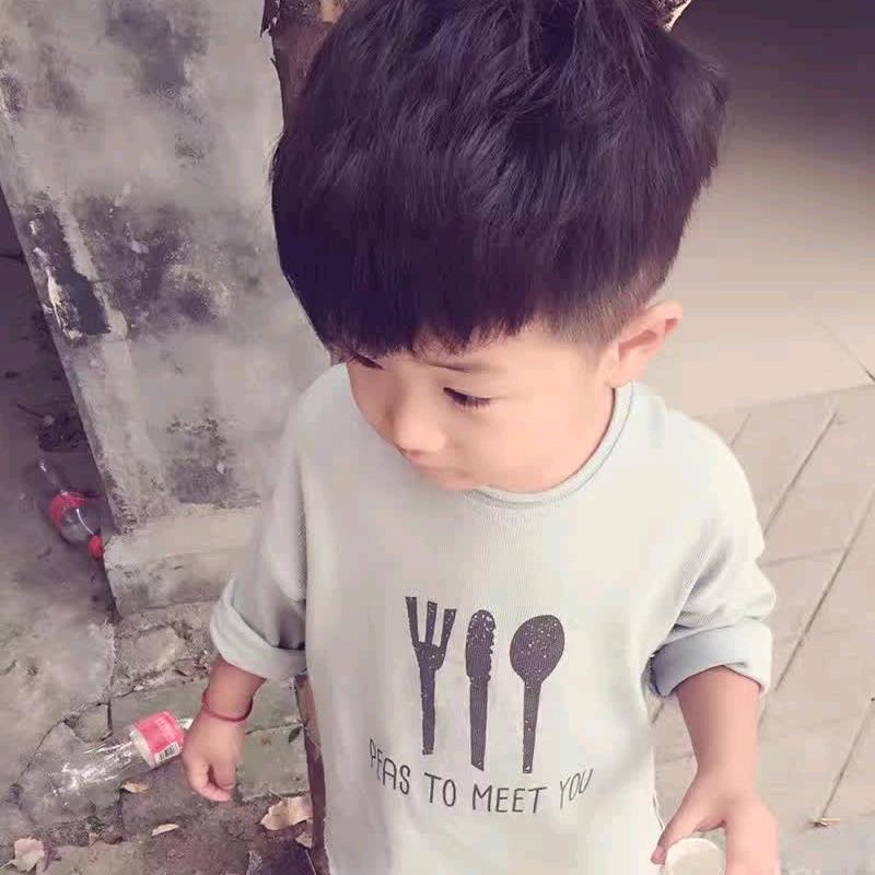 含羞草