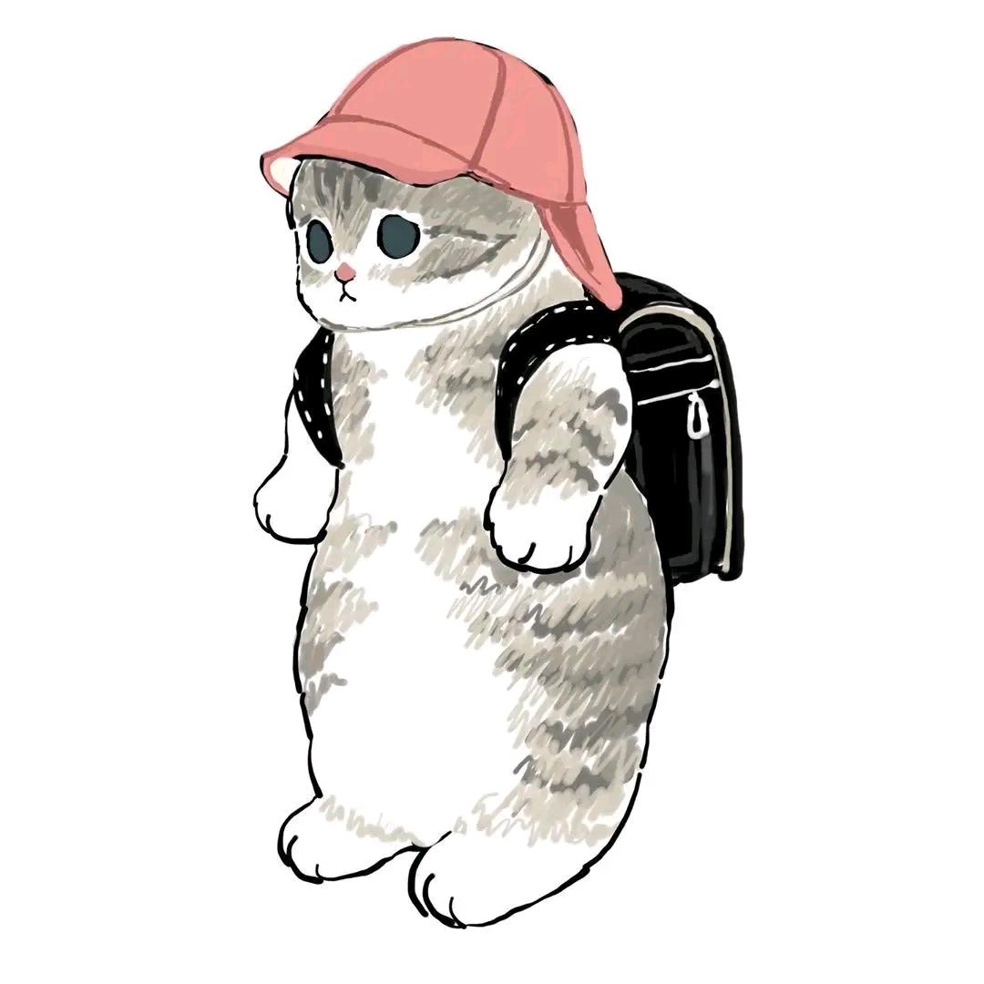 书中有朵云☁️