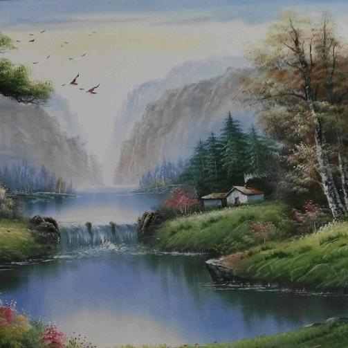 椰岛之花