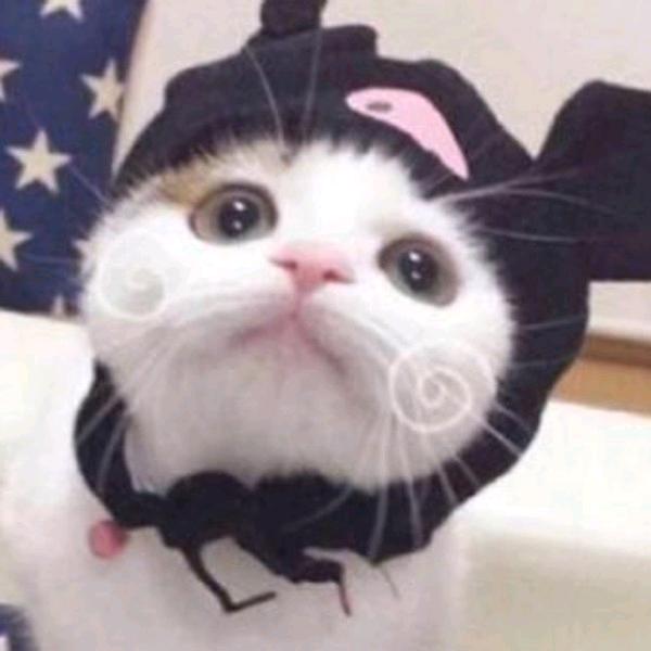 魏-卟-䭋