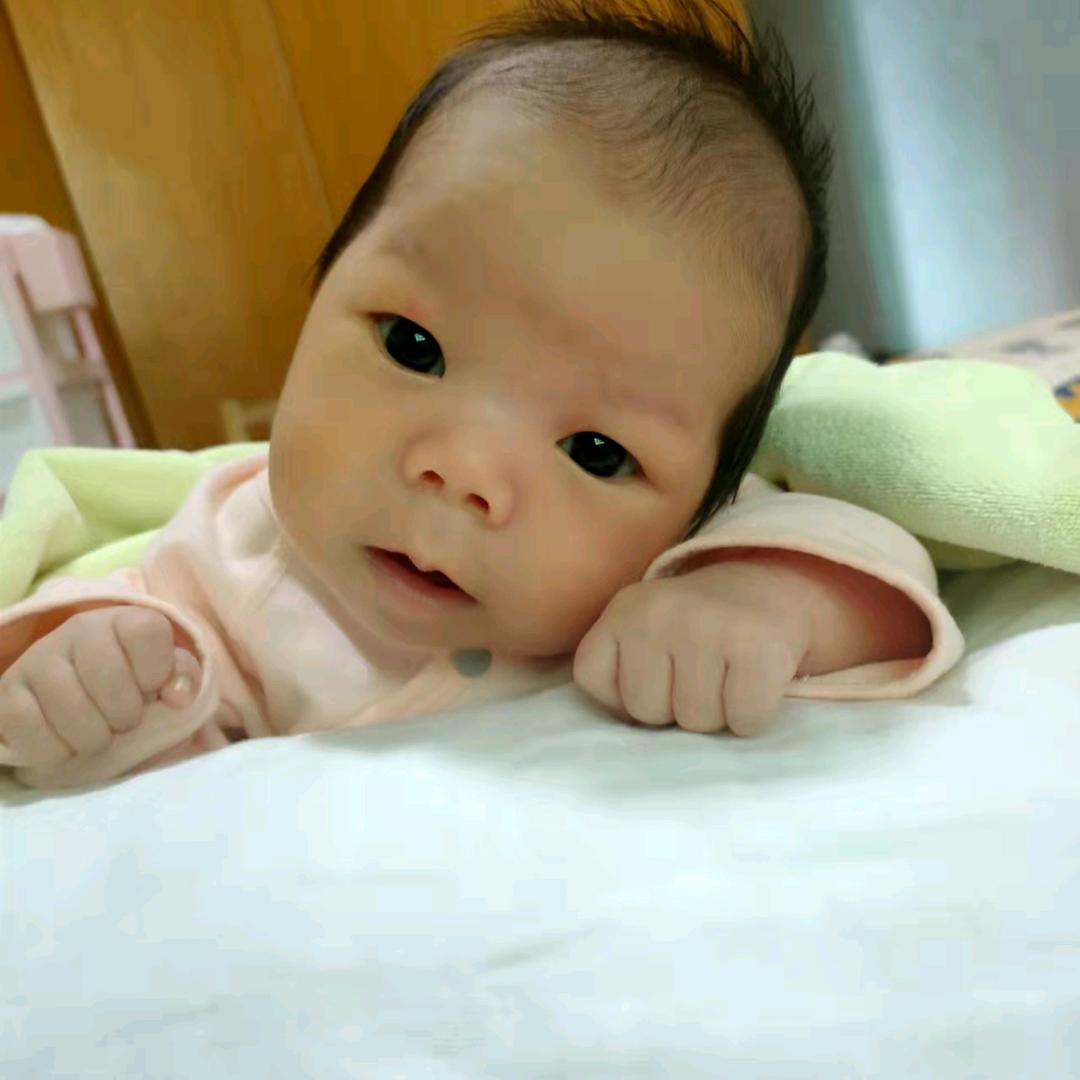 手机用户63282778419恩哥