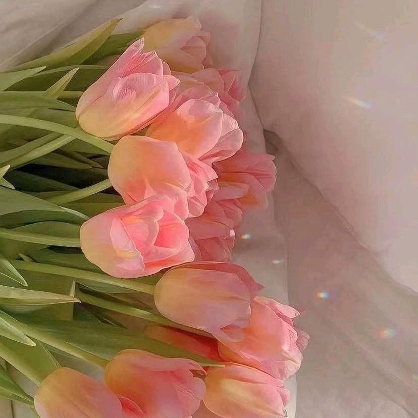 沁水百合🌷