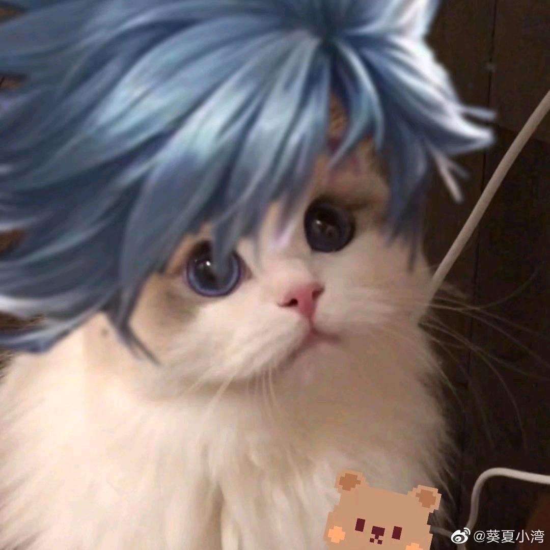 ガゥアオズジザソ