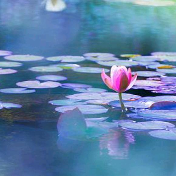 lilihe韩国发饰店