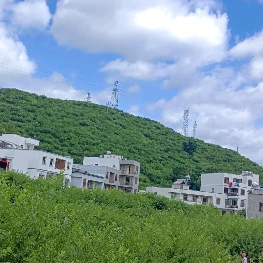 千学不如一看，千看不如一练，酒一喝就醉。