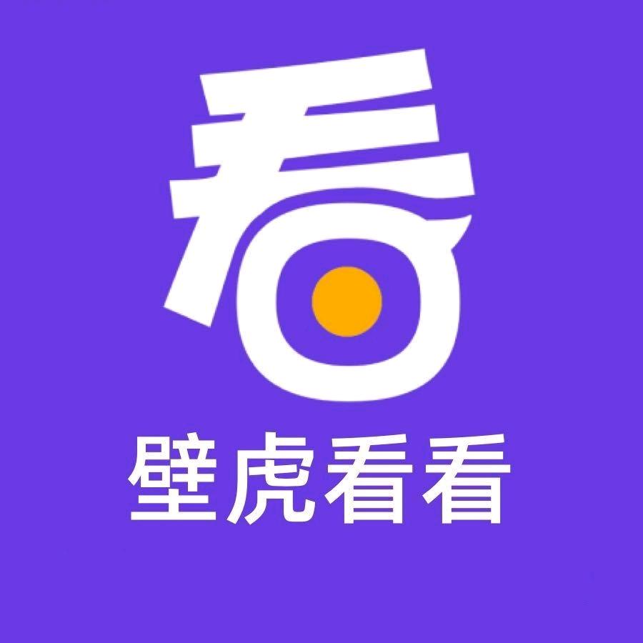 壁虎商业咨询