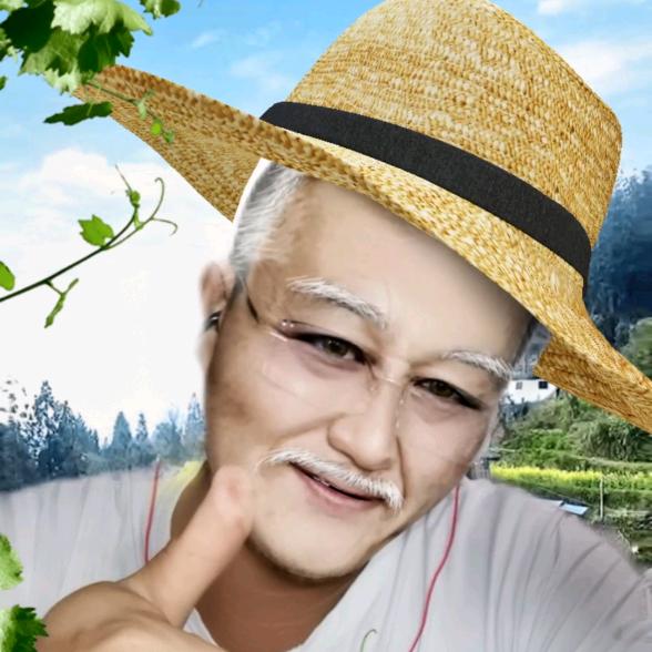 鹏歌