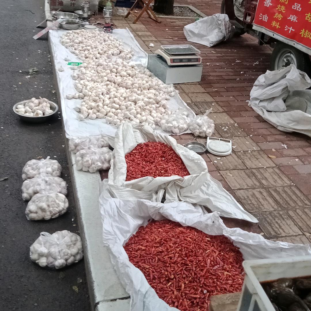 郭陶镇:厚德载物