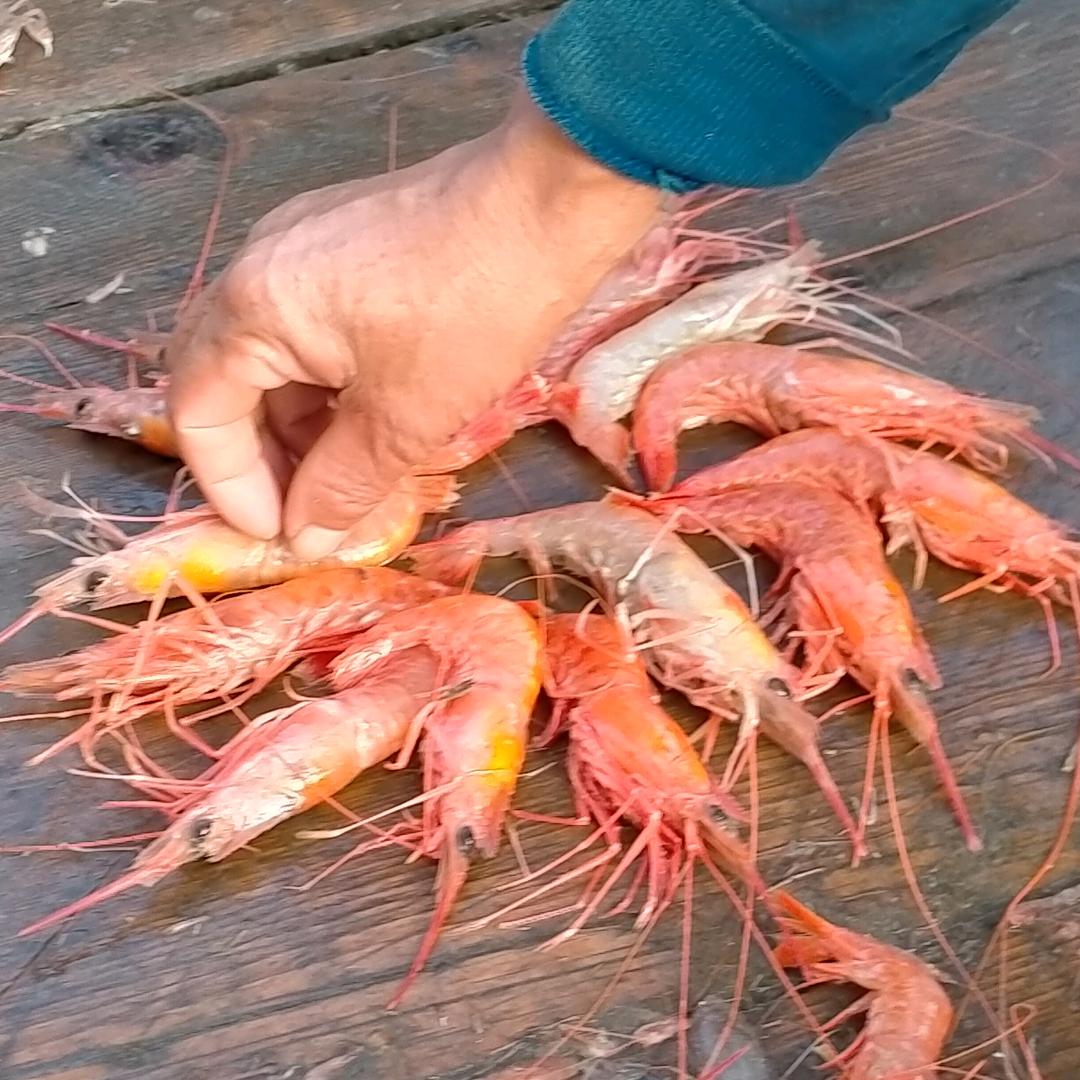 知足常乐32362——88